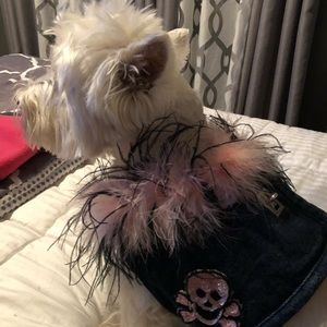 Dog in The Closet Denim Vest & Harness
